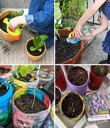 Planting Area